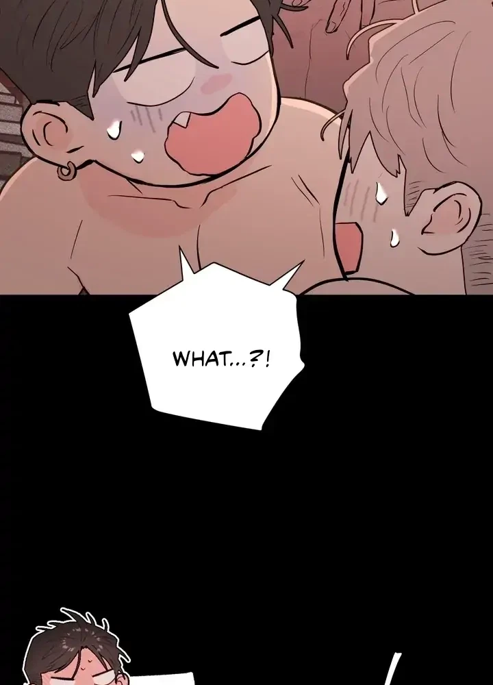 Chapter 5.1, page 101