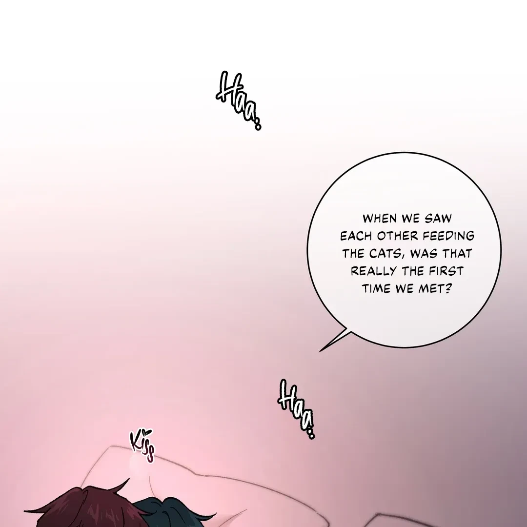 Chapter 8, page 4