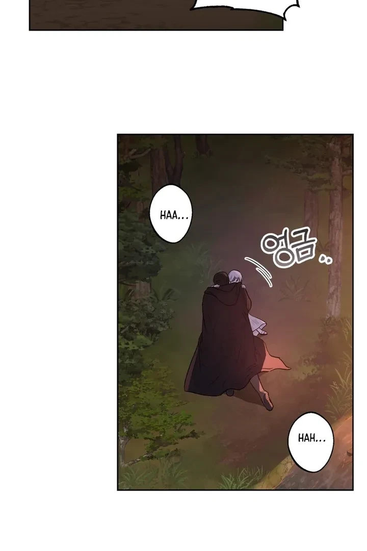 Chapter 2, page 61