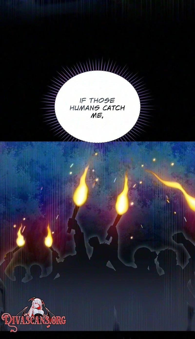 The Cunning Fox's Bold Circumstances Chapter 1, page 17