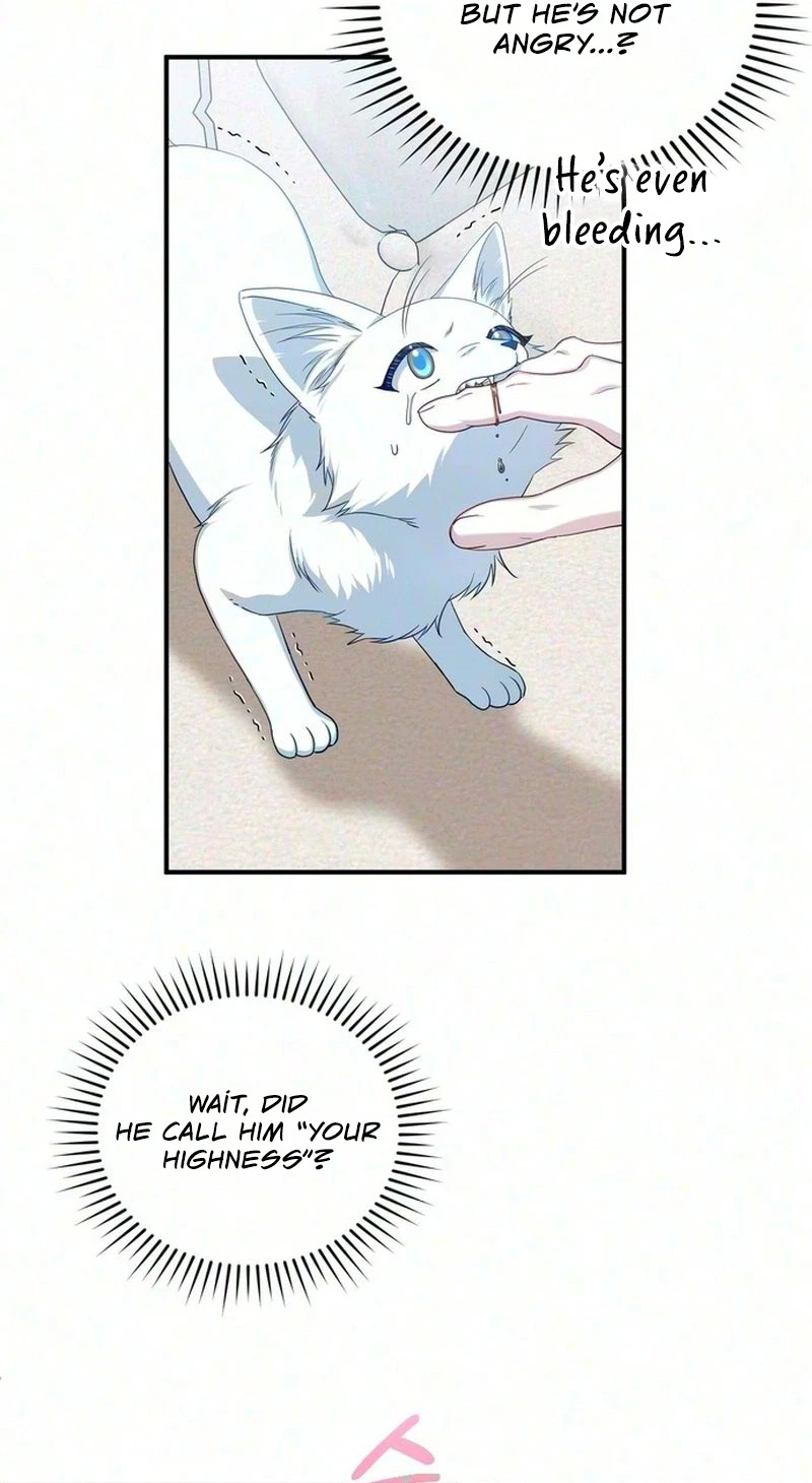The Cunning Fox's Bold Circumstances Chapter 1, page 37