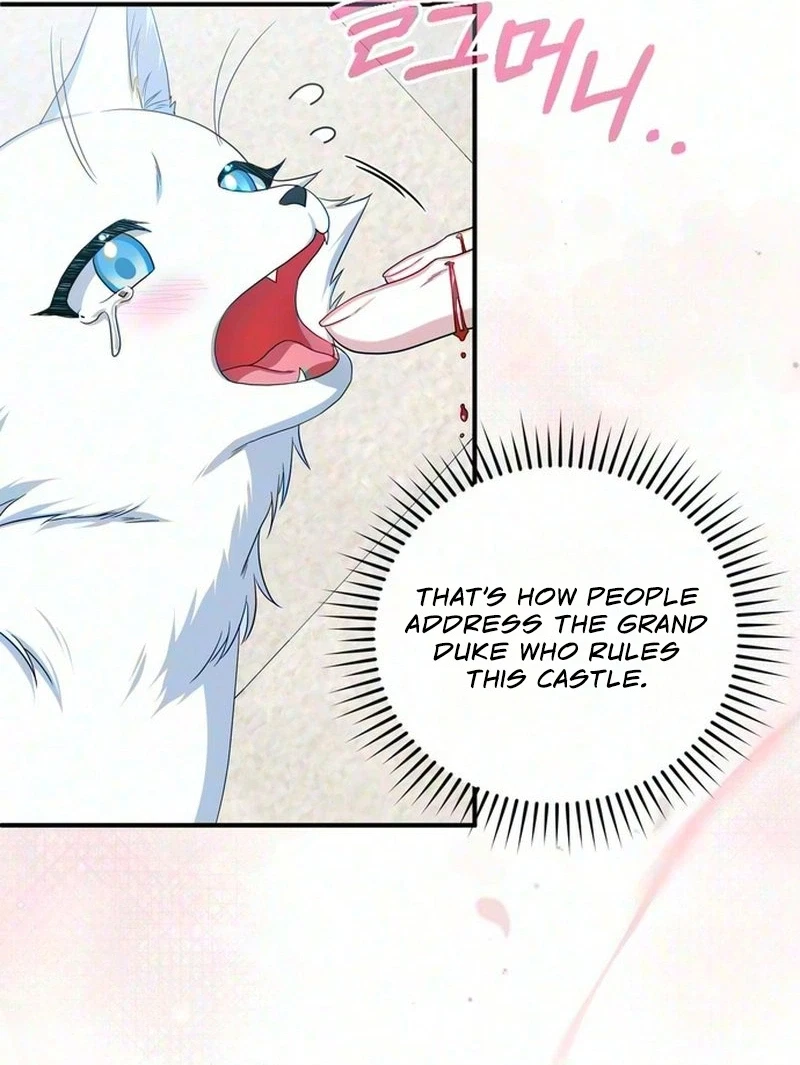 The Cunning Fox's Bold Circumstances Chapter 1, page 38