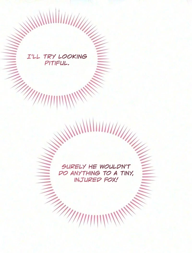 The Cunning Fox's Bold Circumstances Chapter 1, page 50
