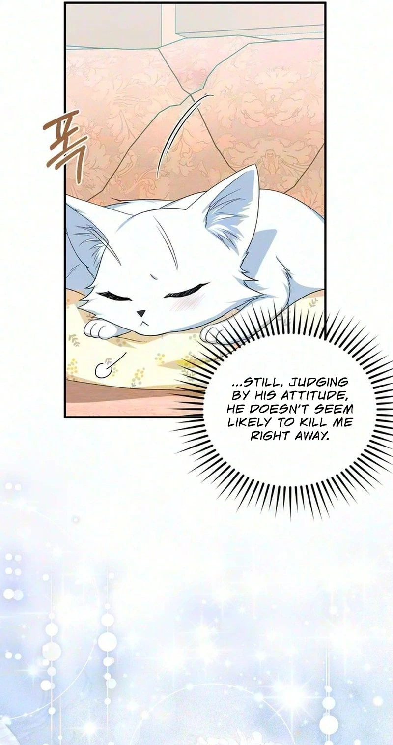 The Cunning Fox's Bold Circumstances Chapter 1, page 63