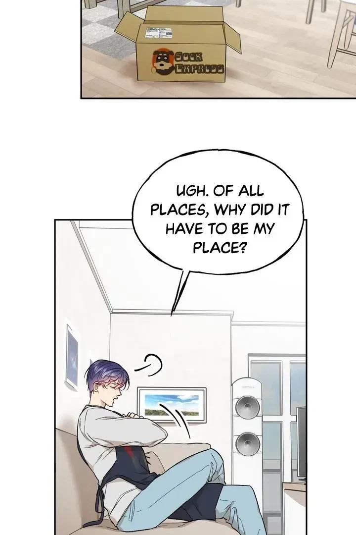Chapter 1.2, page 46