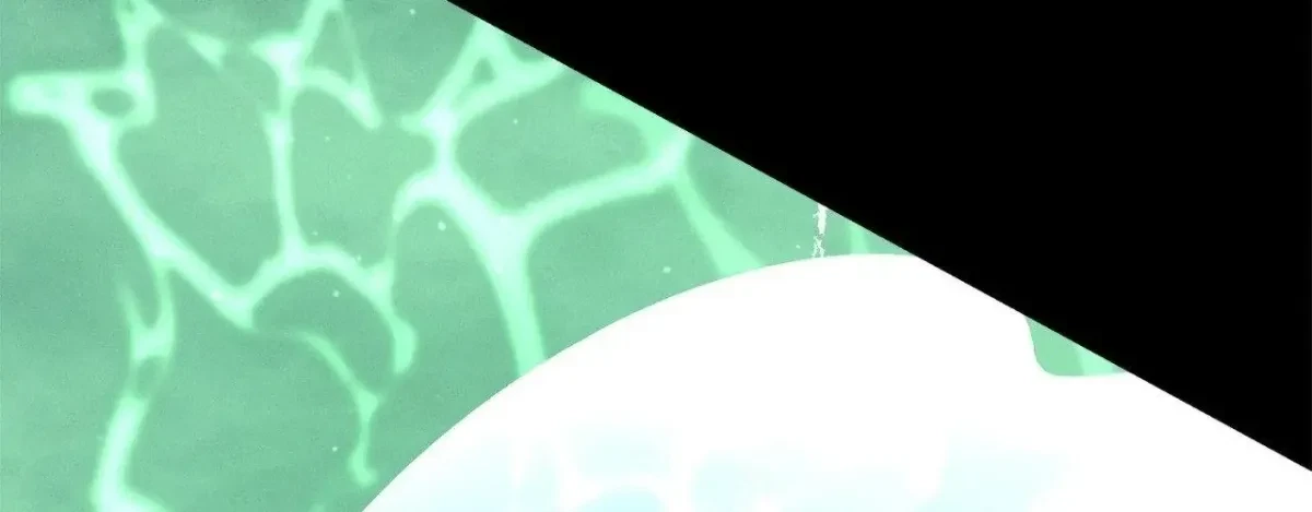 Chapter 57, page 239