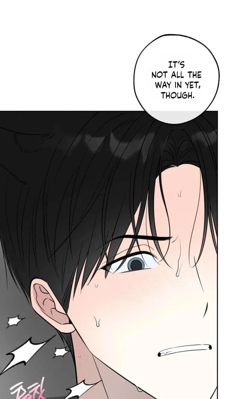 Chapter 37, page 4