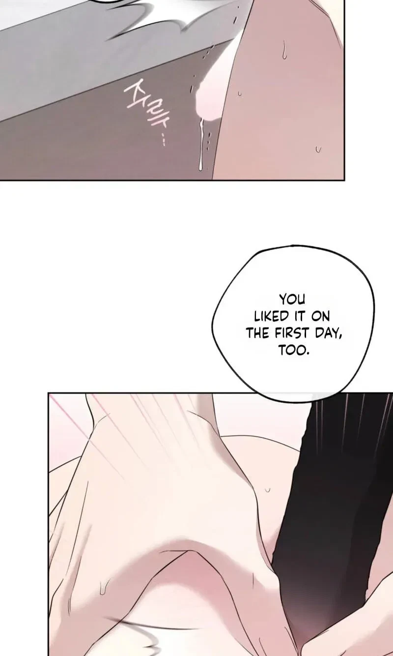 Chapter 37, page 43