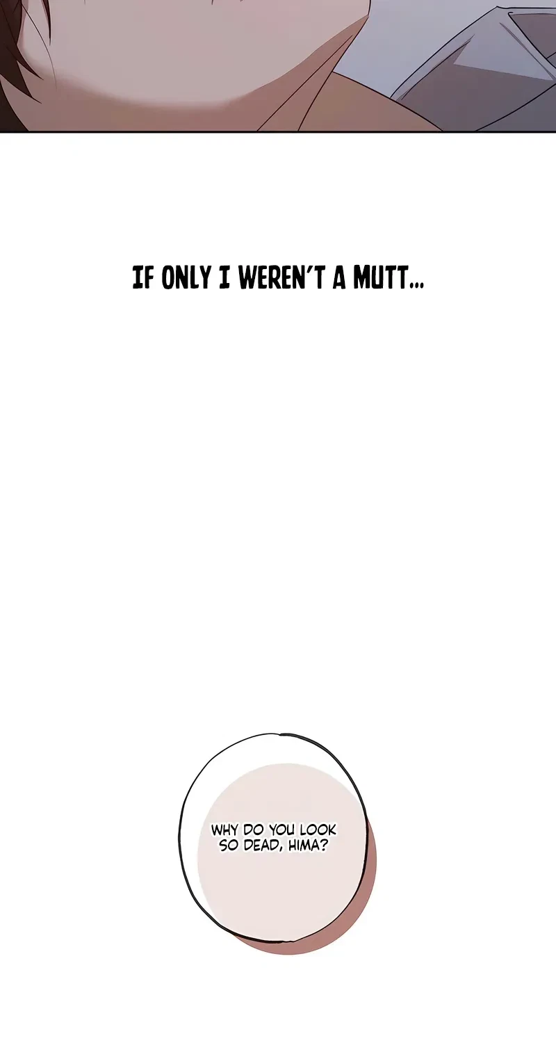 Chapter 34, page 79