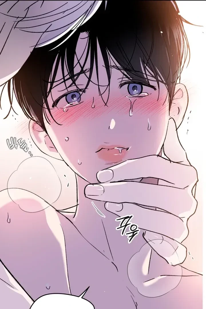 Chapter 2, page 100