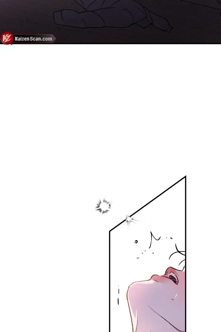Chapter 2, page 24