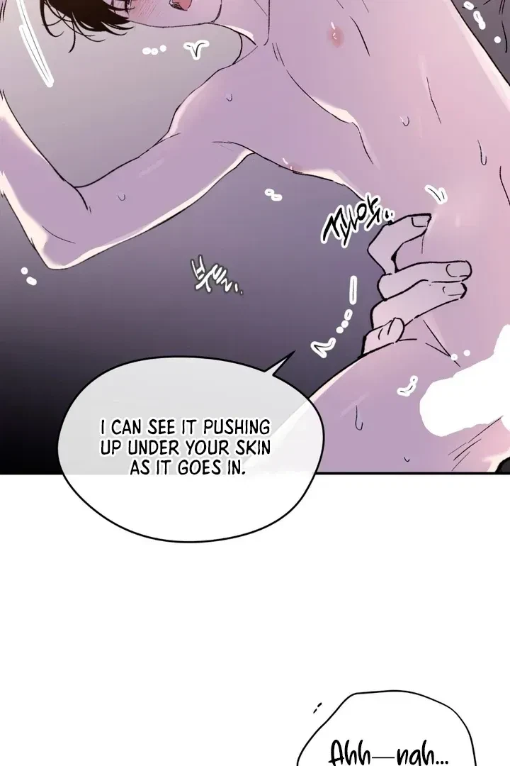 Chapter 2, page 68