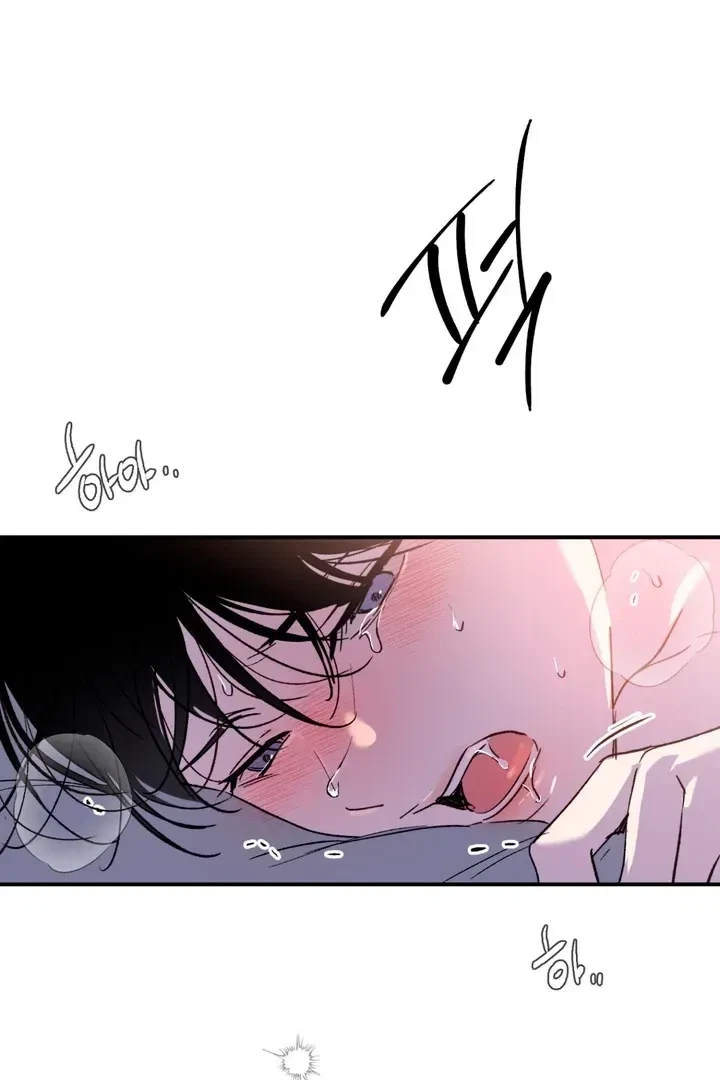 Chapter 2, page 81