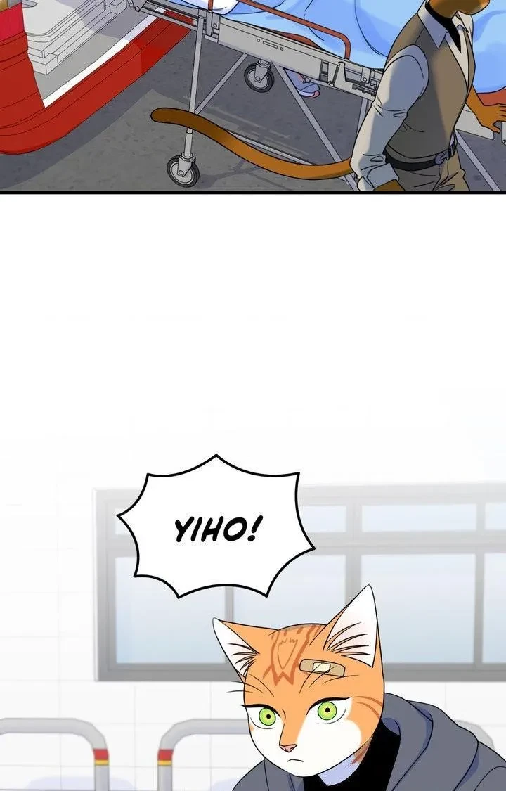 Chapter 102, page 34