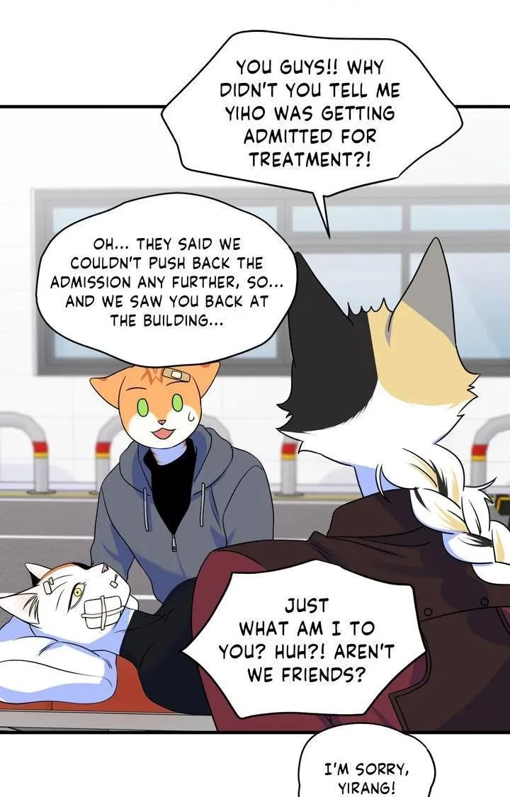 Chapter 102, page 37