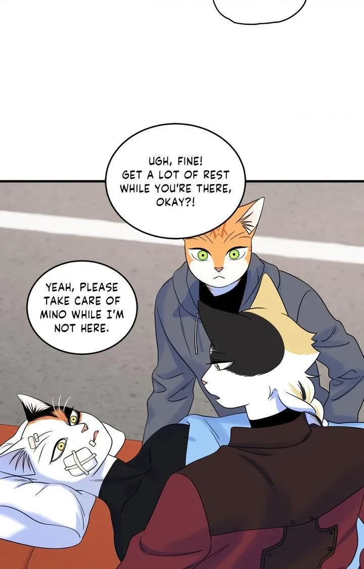 Chapter 102, page 38