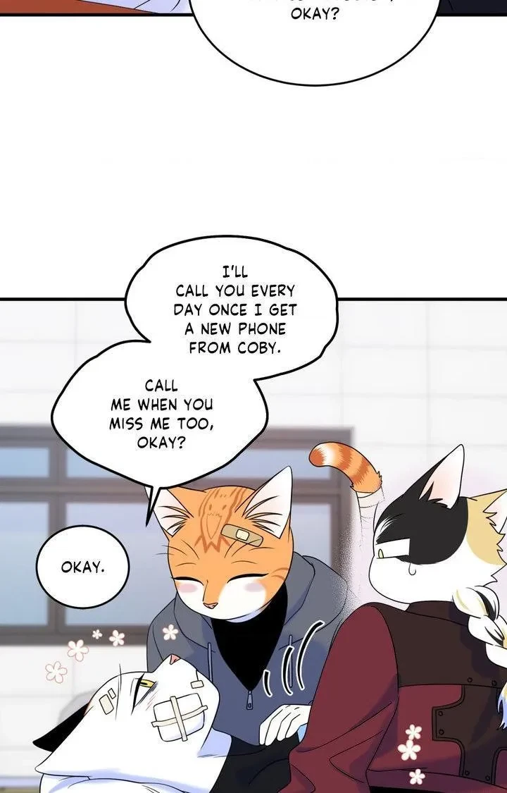 Chapter 102, page 43