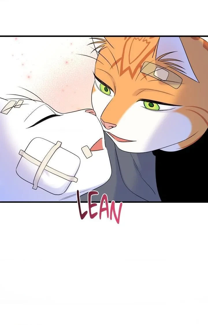Chapter 102, page 46