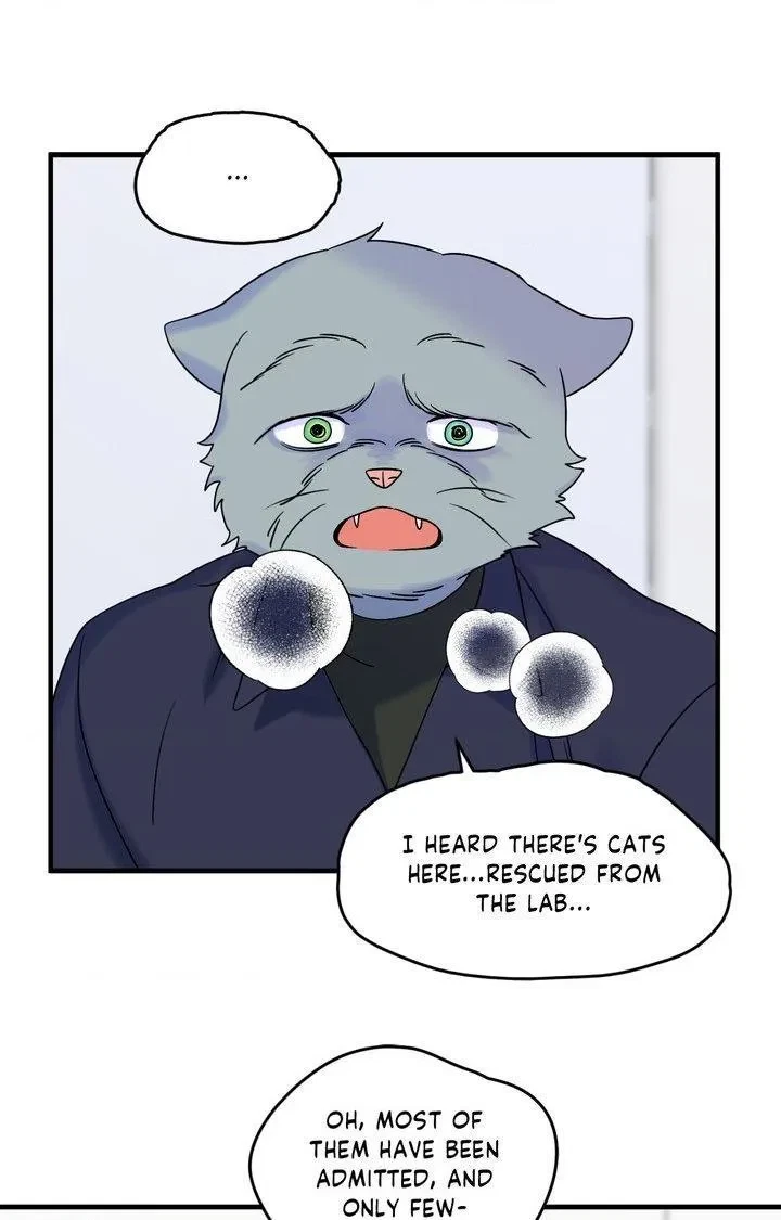 Chapter 102, page 55