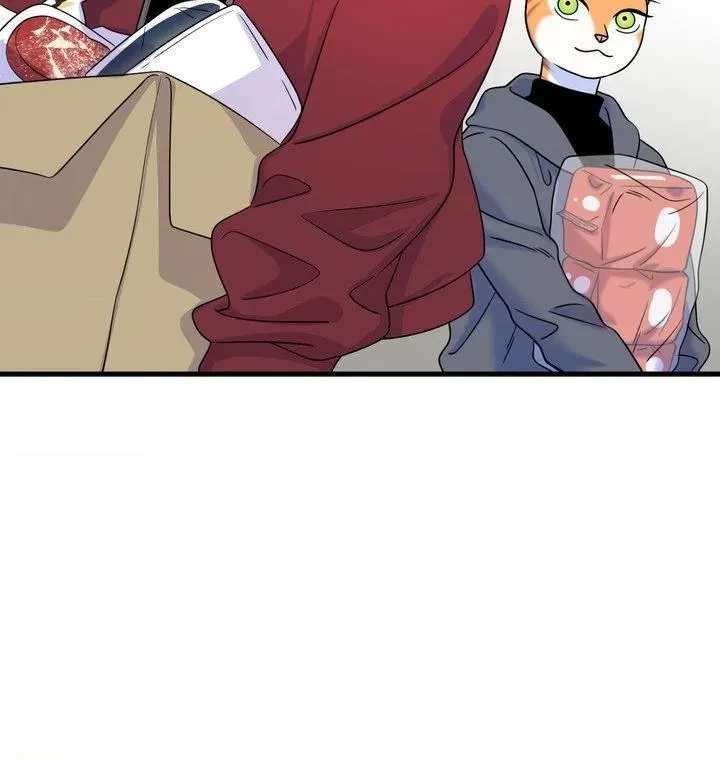 Chapter 102, page 61