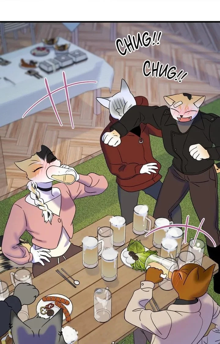 Chapter 102, page 66