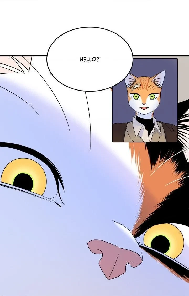 Chapter 102, page 71