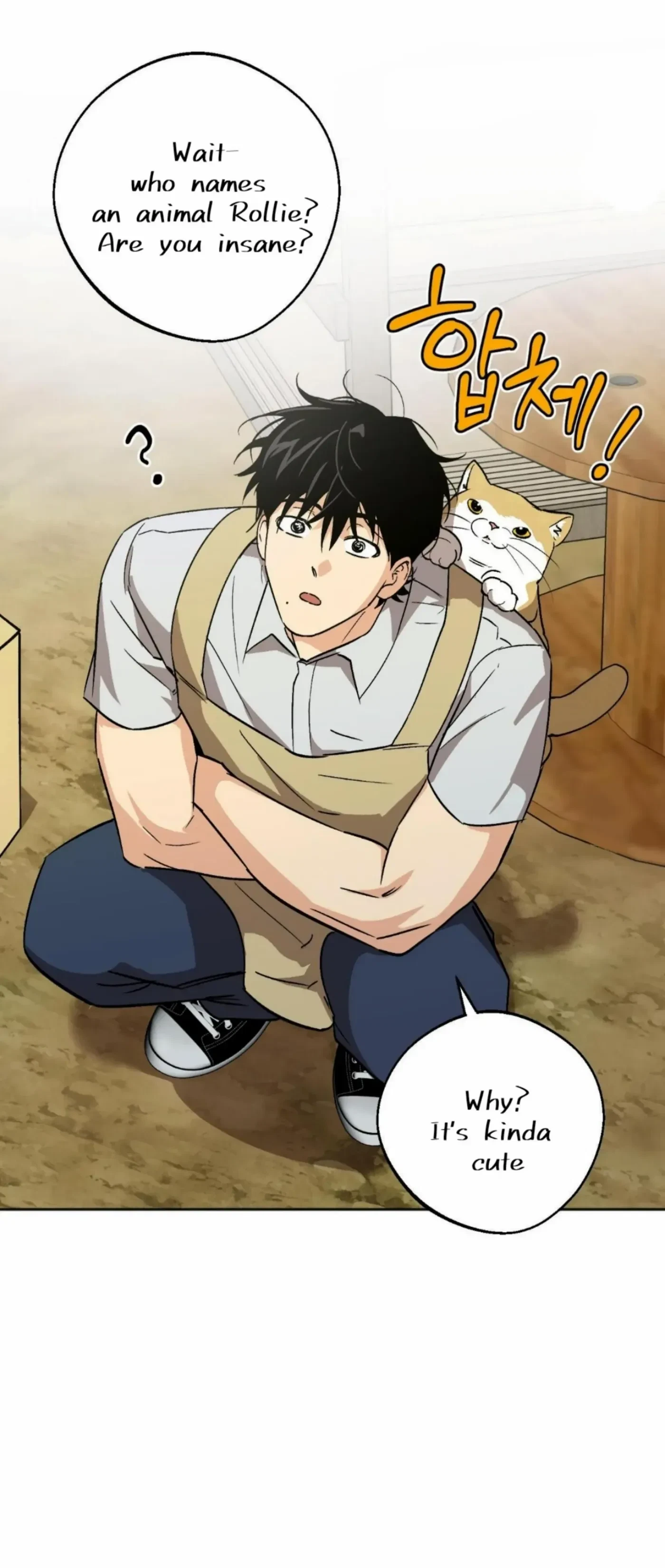 Chapter 17, page 43