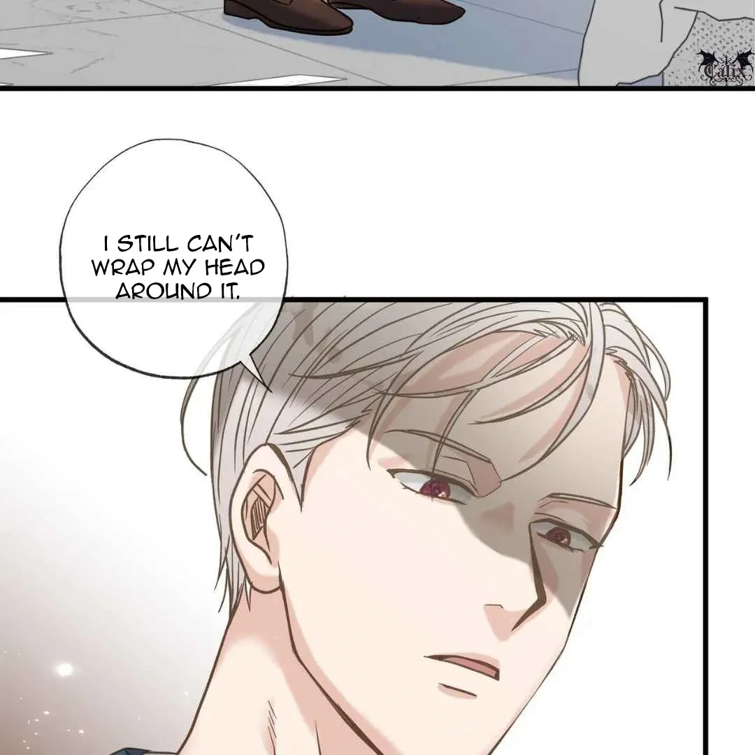 Chapter 4, page 113