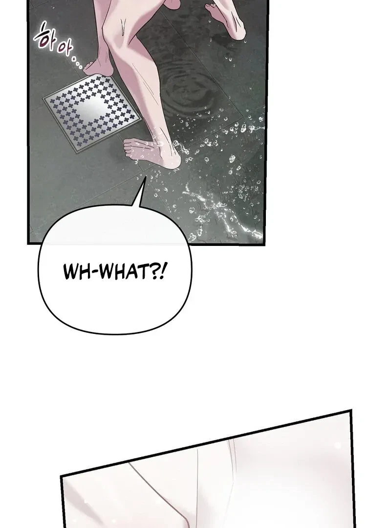Chapter 2, page 96