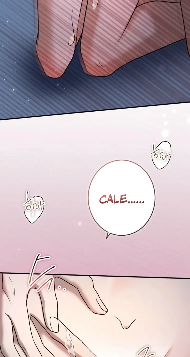 Chapter 3, page 101