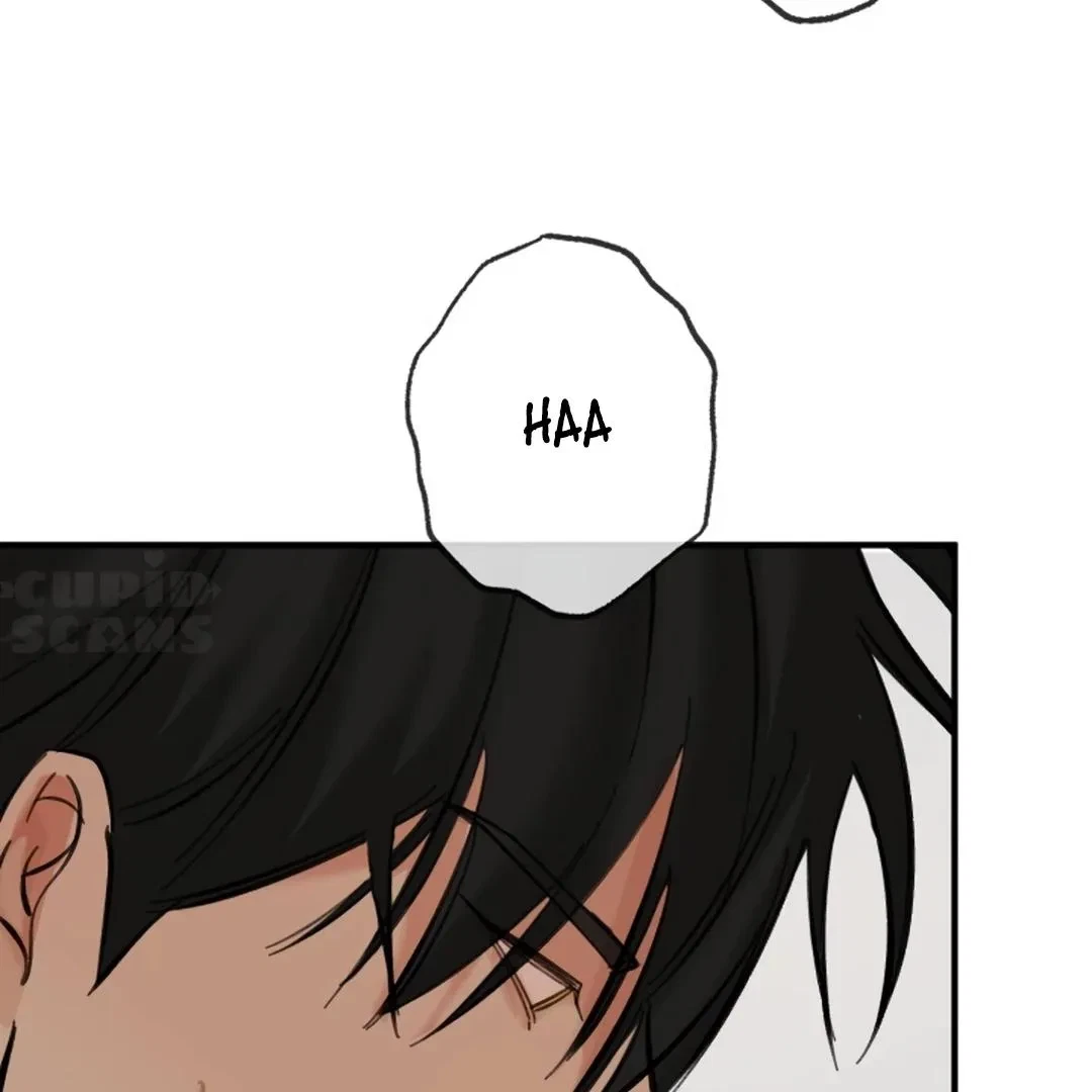 Chapter 3, page 160