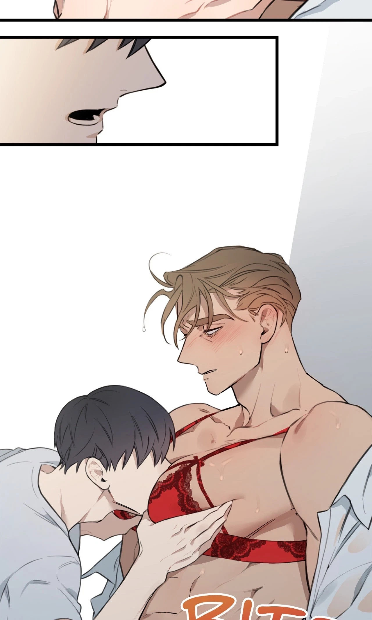 Chapter 2, page 21