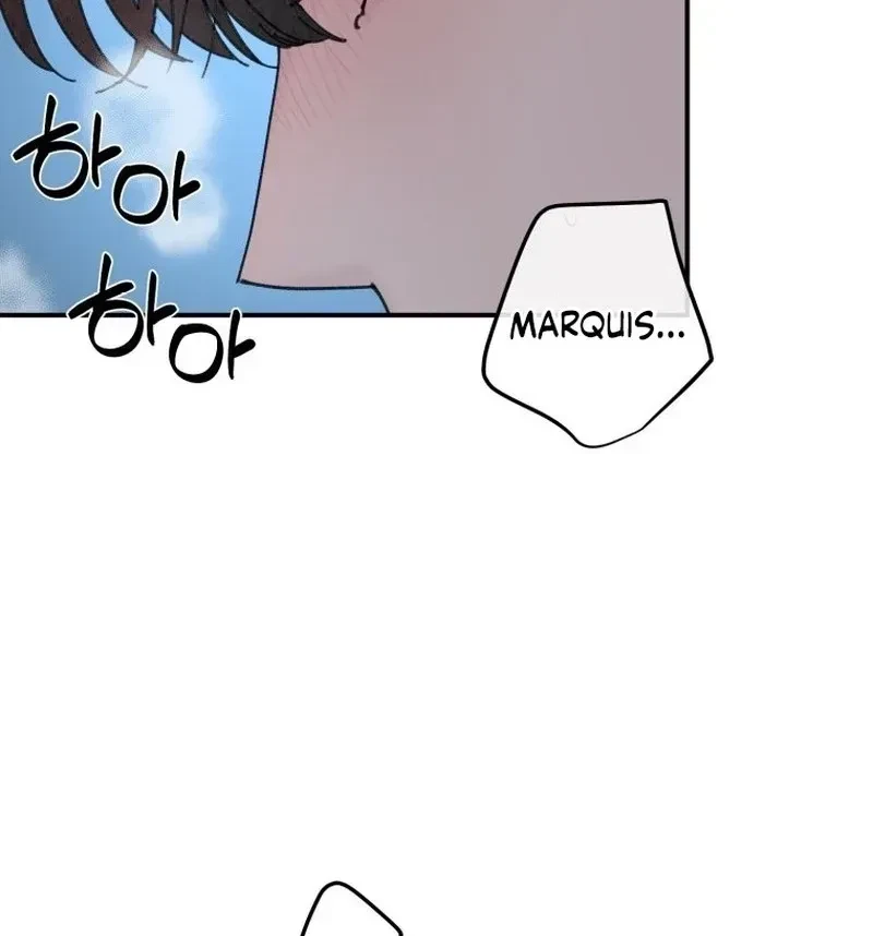Chapter 9.1, page 61