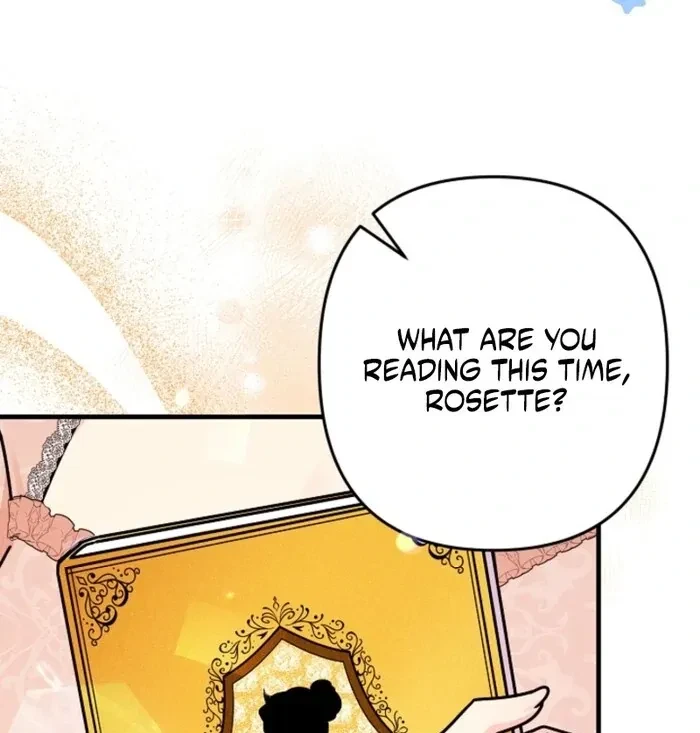 Chapter 2, page 26