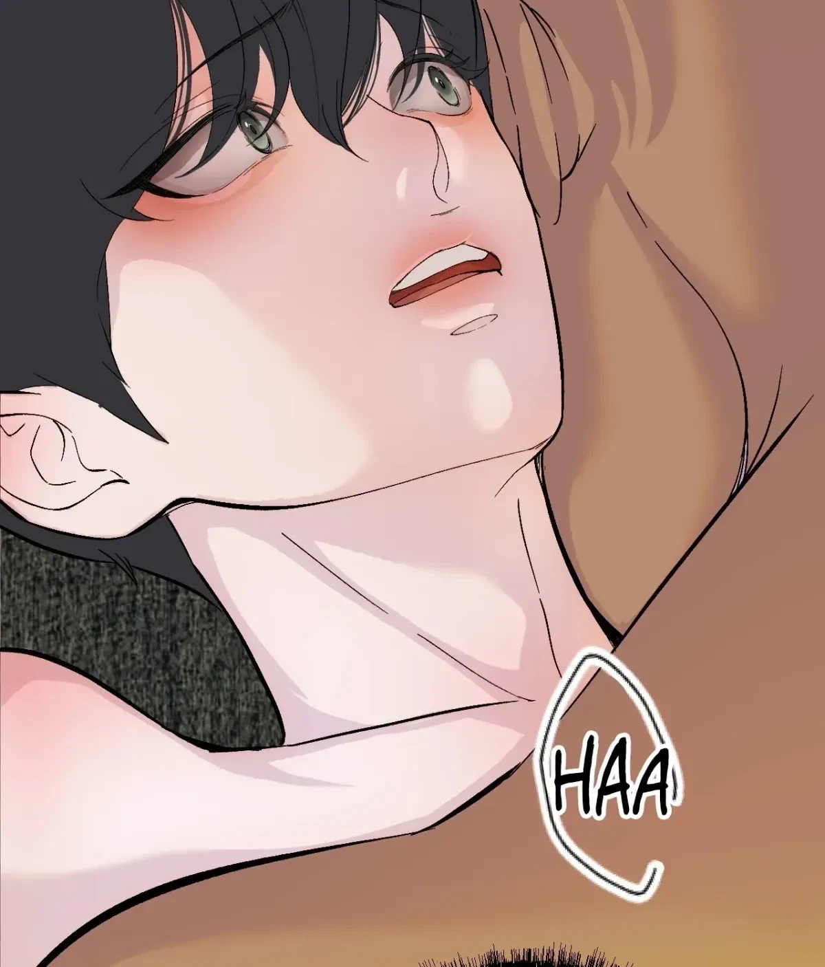Chapter 2, page 32