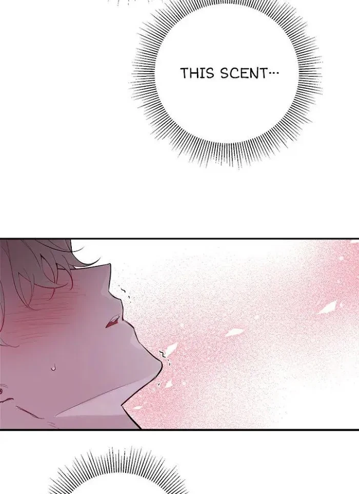 Chapter 51, page 74