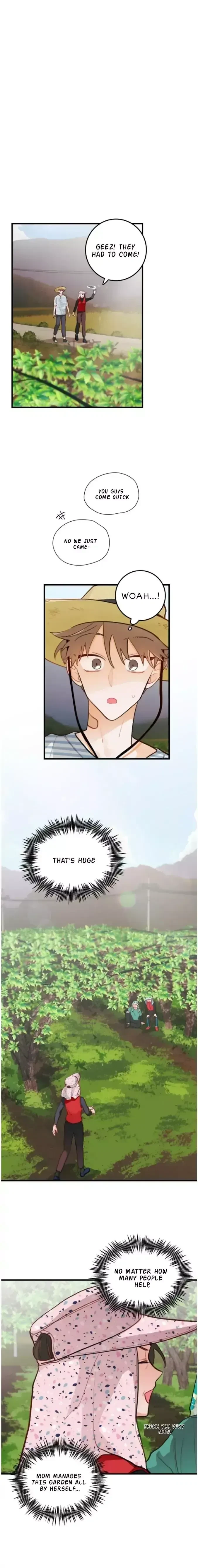 When Pear Blossoms Bloom Chapter 16, page 3