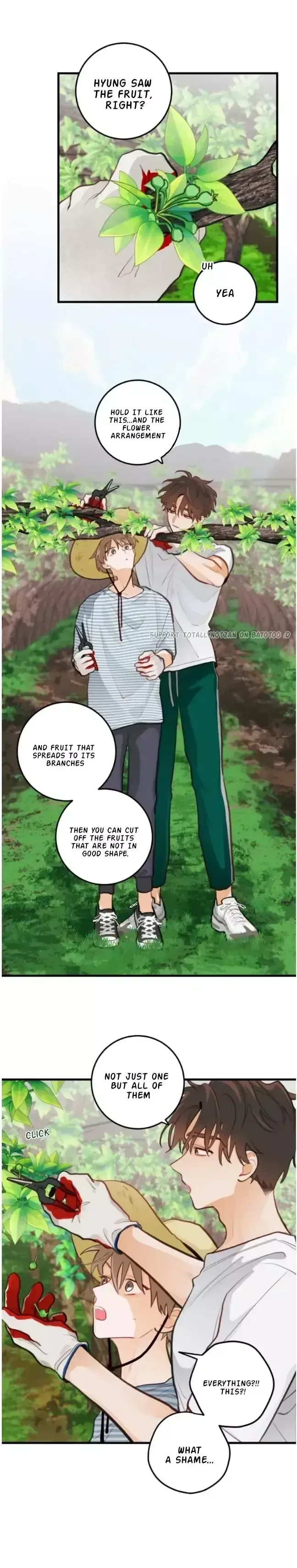When Pear Blossoms Bloom Chapter 16, page 7