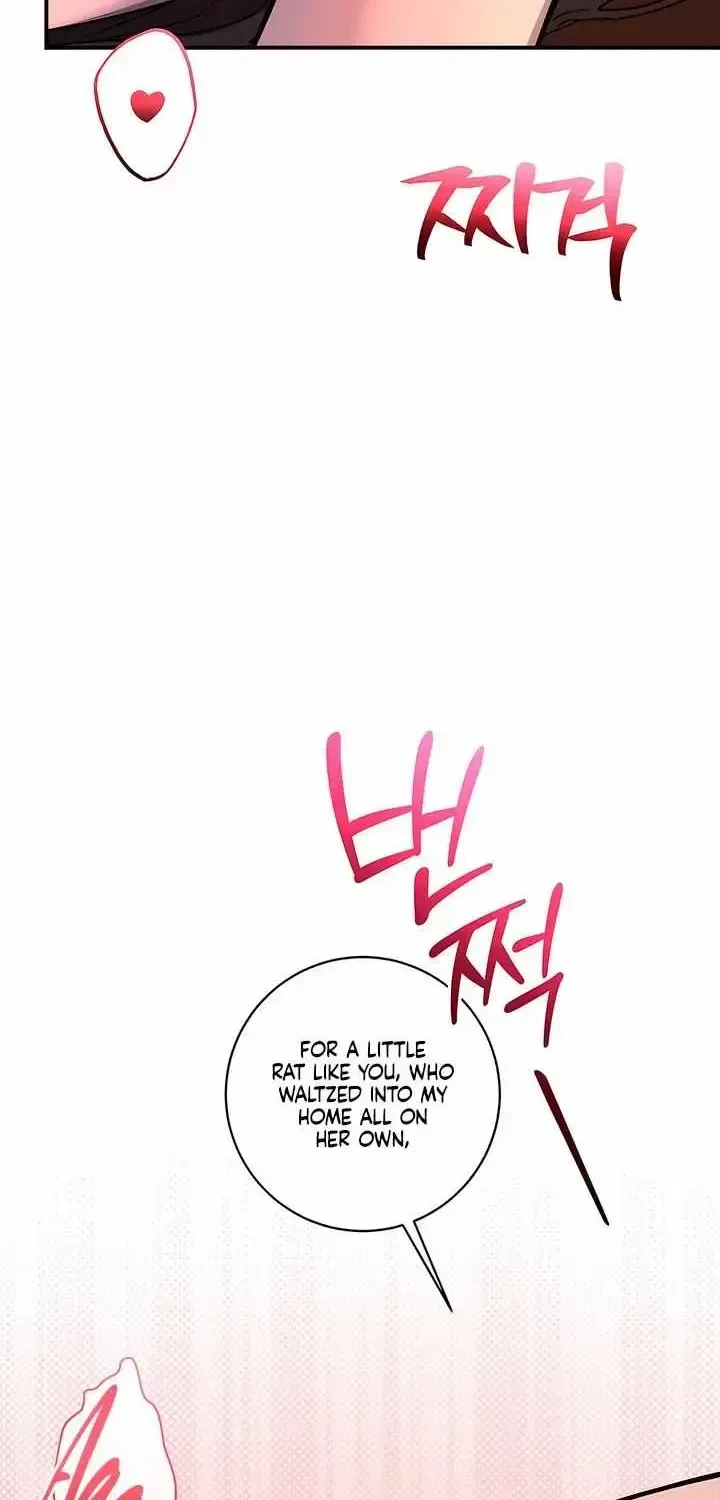 Chapter 1.2, page 13