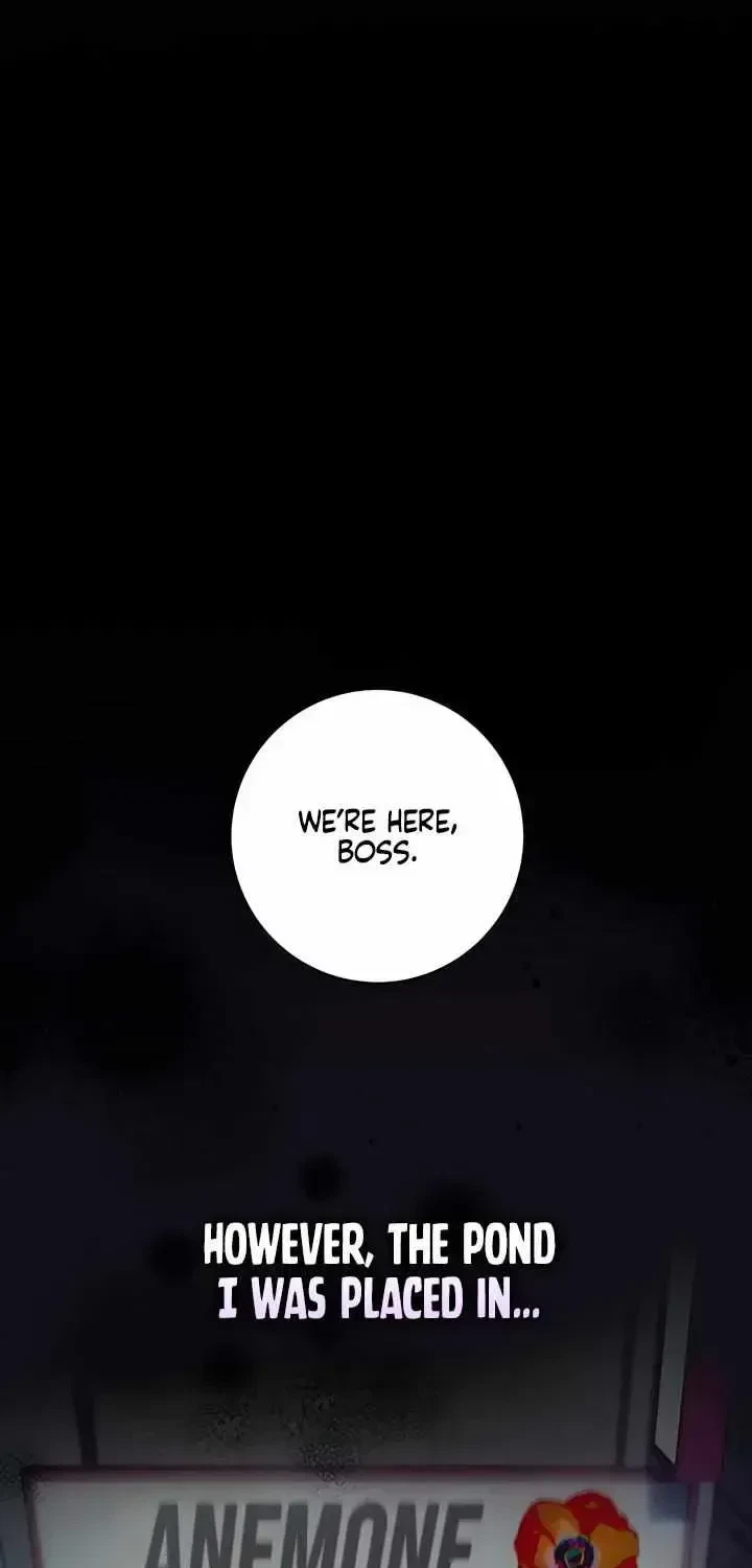 Chapter 1.2, page 54