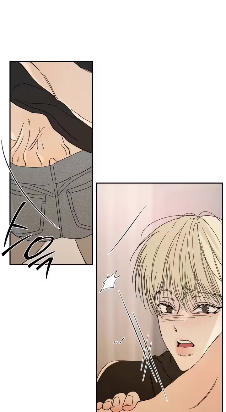 Chapter 3, page 44