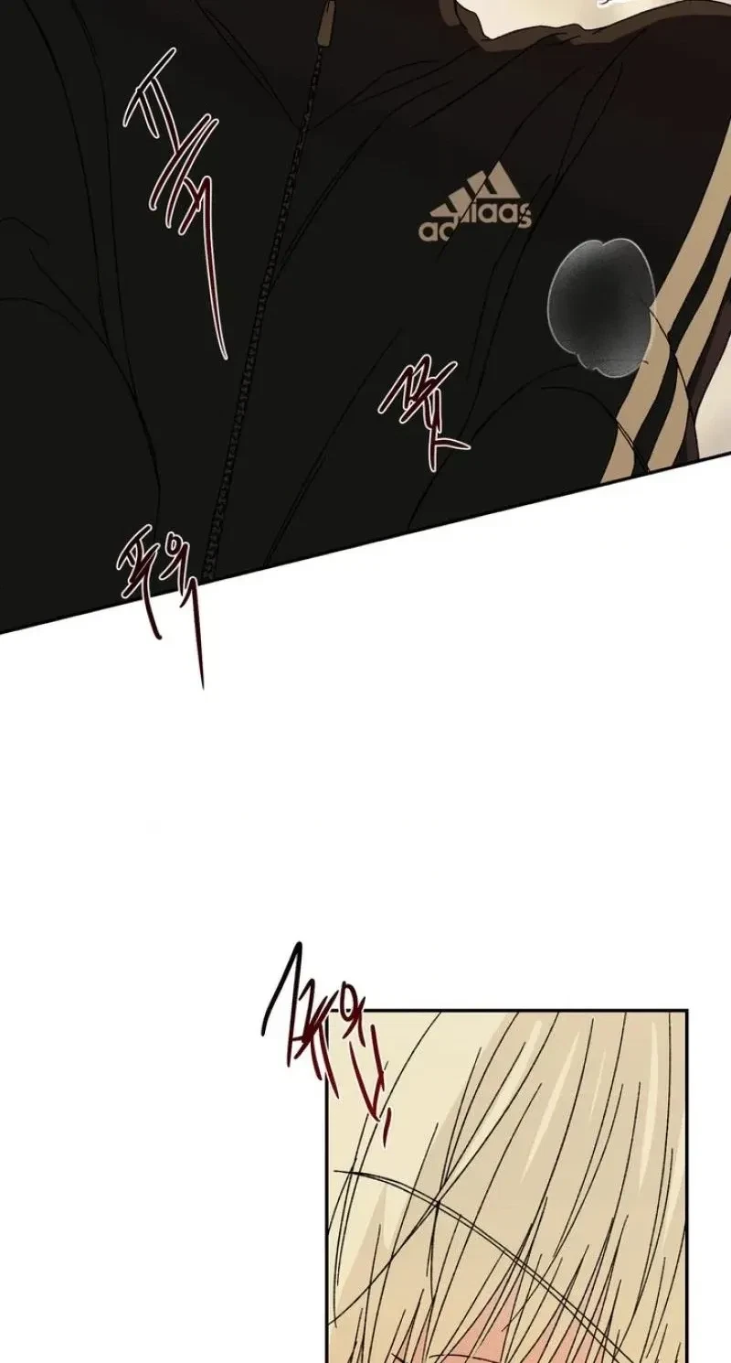 Chapter 3, page 60
