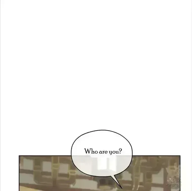 Chapter 4.5, page 99