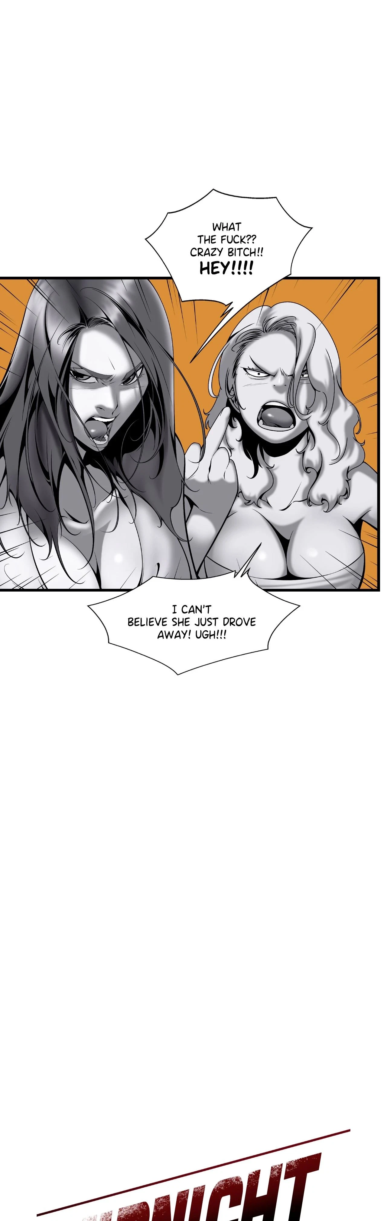 Chapter 1, page 13