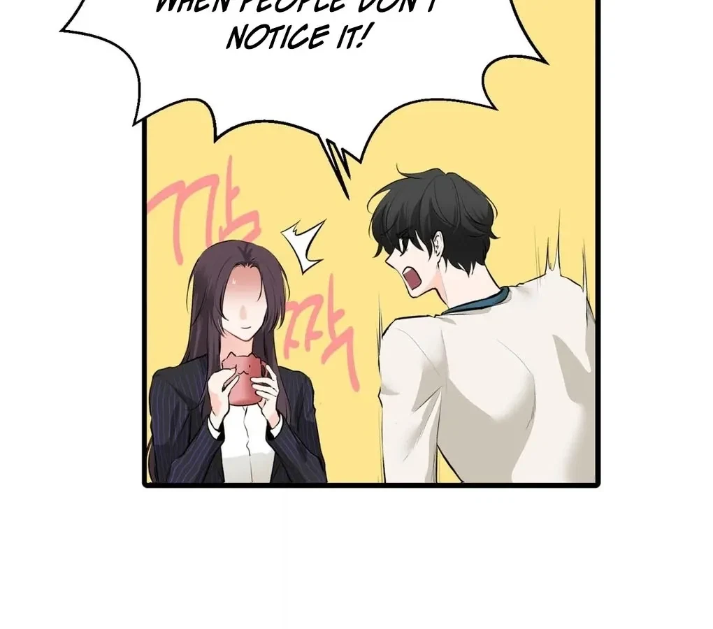 Chapter 2, page 19