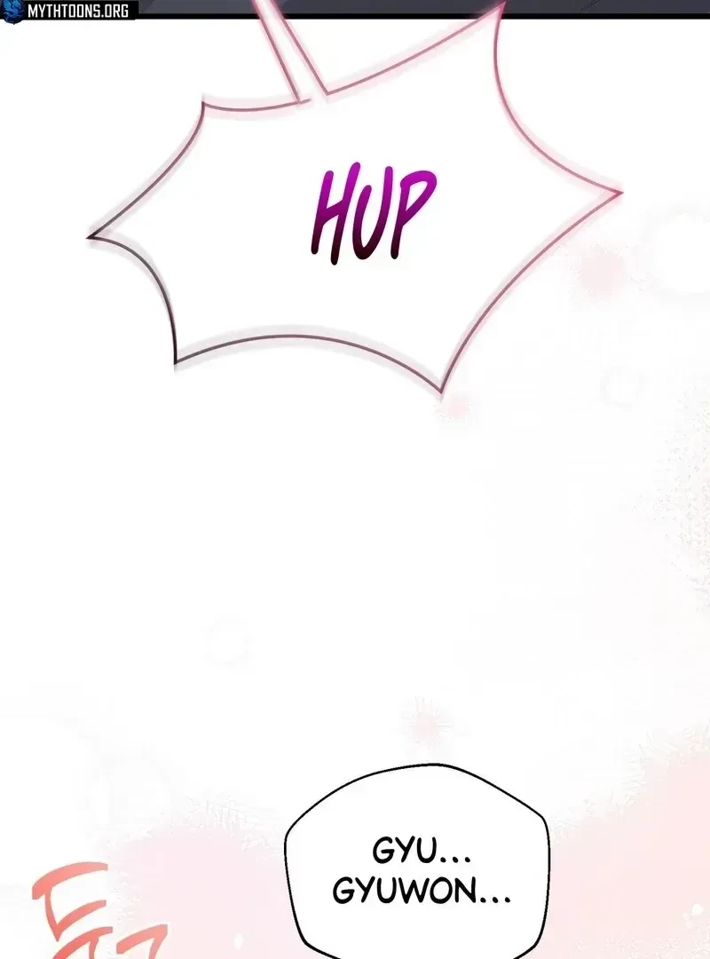 Chapter 2.4, page 32