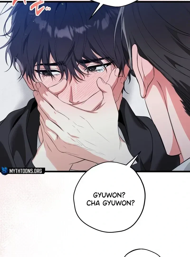 Chapter 2.4, page 33