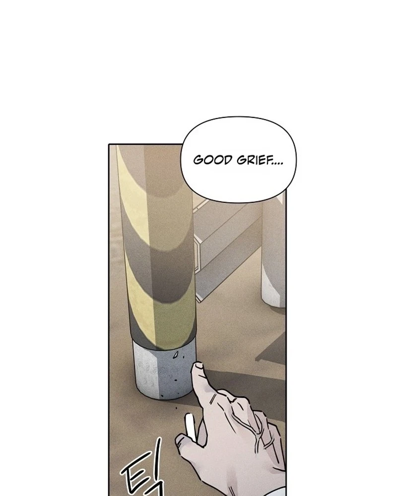 Chapter 5, page 89