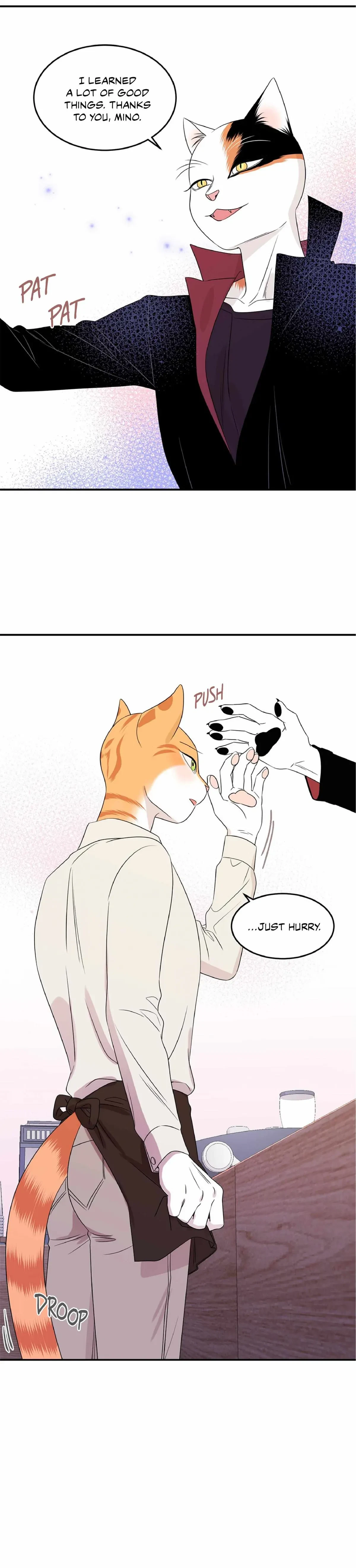 Chapter 11, page 15