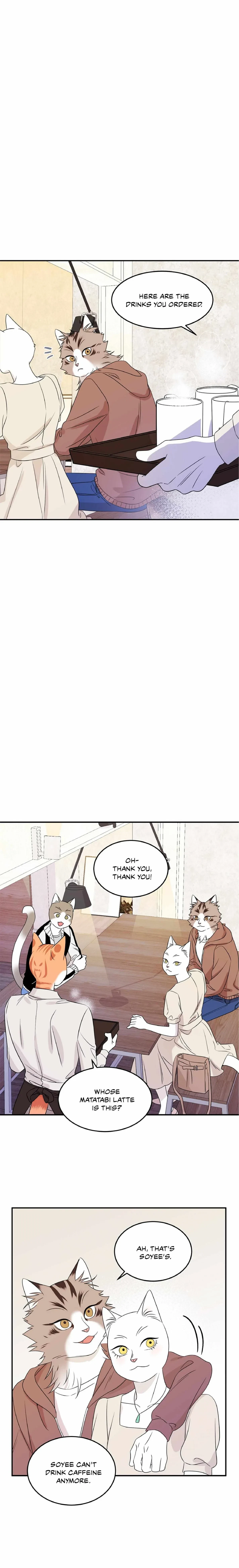 Chapter 11, page 17